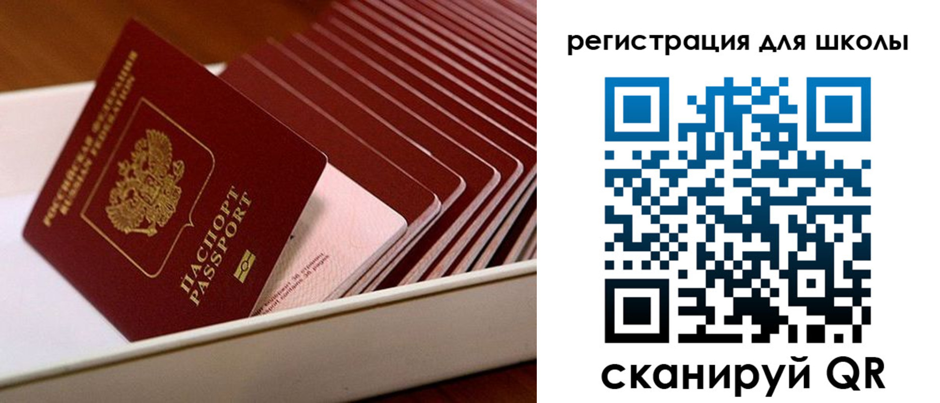 прописка гарантия в Архангельской области